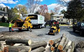 Best Tree Risk Assessment  in Greenfield, OH